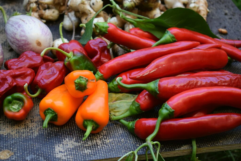Ertragreiche Ernte mit Gemüseanbau Tipps