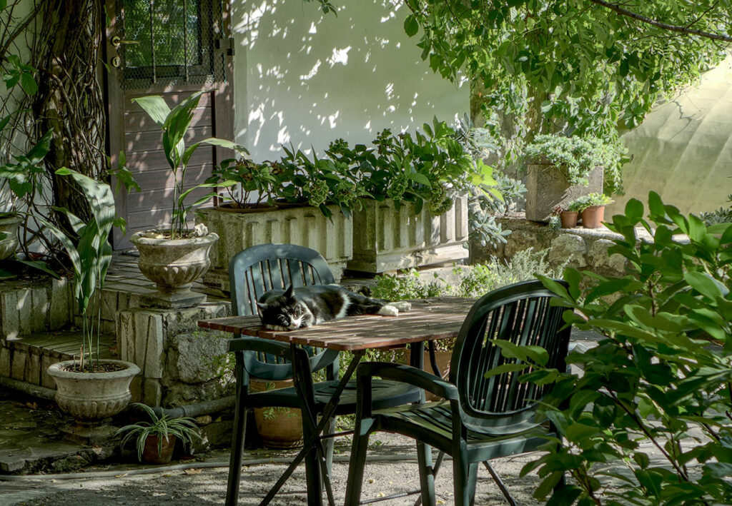 Gartenmöbel reinigen - Sitzgruppe auf Terrasse zwischen vielen Pflanzen