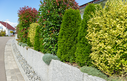 Zaun auf Grundstücksgrenze - Hecke als Einfriedung