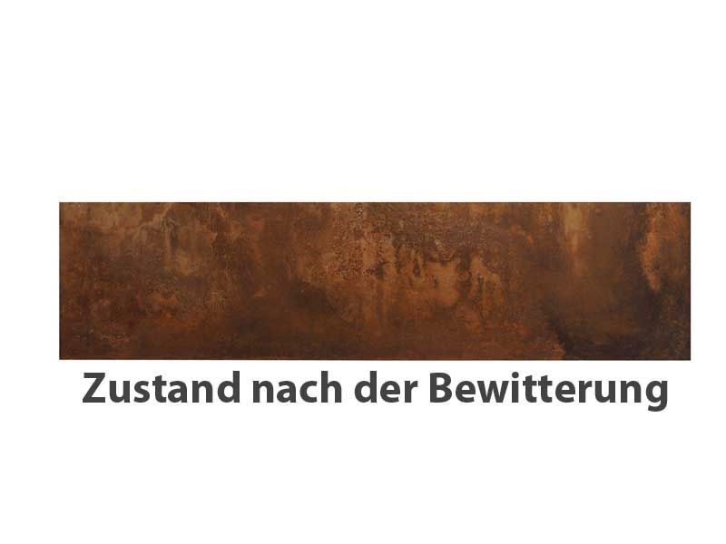 TraumGarten Sichtschutzzaun SYSTEM BOARD XL Rost Einzelprofil - 179 x 45 cm