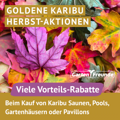 Karibu Systemsauna Serie Auri im Gartenfreunde-Special-Angebot