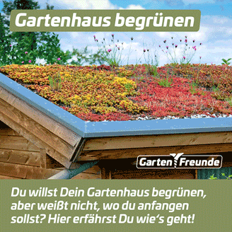 Magazin-Beitrag - Gartenhaus begrünen - Instagram-Beitrag