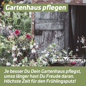 Magazin-Beitrag - Gartenhaus Pflegen - Instagram-Beitrag