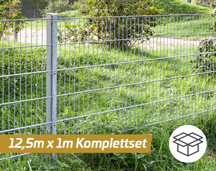 Deutsche Zauntechnik Doppelstabmattenzaun Komplettset MORITZ - Metallzaun / Vorgartenzaun - silber - 12,5 x 1 m