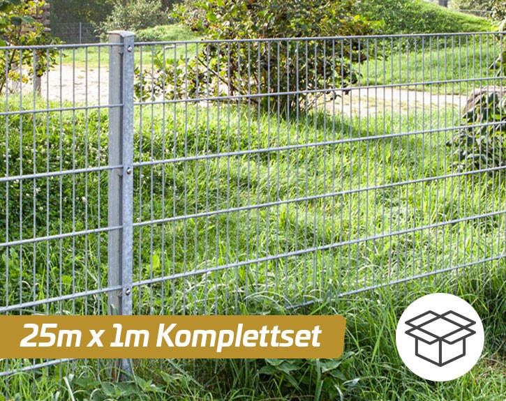 Deutsche Zauntechnik Doppelstabmattenzaun Komplettset MORITZ - Metallzaun / Vorgartenzaun - silber - 25 x 1 m