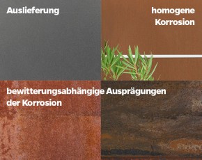 TraumGarten Sichtschutzzaun SYSTEM BOARD Rost Rechteck - Metallzaun - 90 x 90 cm