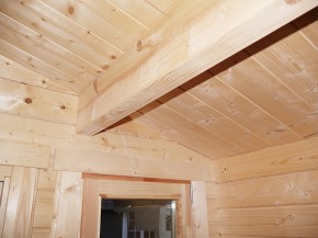 Finnhaus Wolff Holz-Gartenhaus Alvina 4536 44 XL - Schiebetür rechts - 44mm Blockbohlenhaus - Gartenhaus Lounge - Pultdach - natur