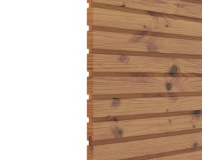 TraumGarten Gartentor SYSTEM NEO HOLZ Thermoholz Einzeltor - Holzzaun - 98 x 180 cm