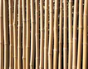 TraumGarten Sichtschutzzaun BAMBU Rechteck - Bambus/Nadelholz - 179 x 179 cm